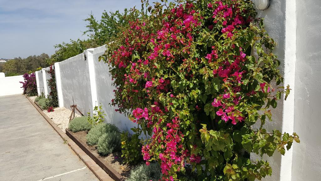 La Posada Del Duende Arcos de la Frontera Εξωτερικό φωτογραφία