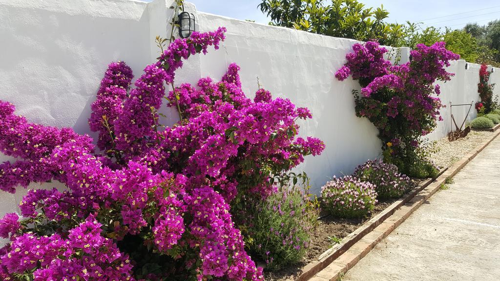 La Posada Del Duende Arcos de la Frontera Εξωτερικό φωτογραφία