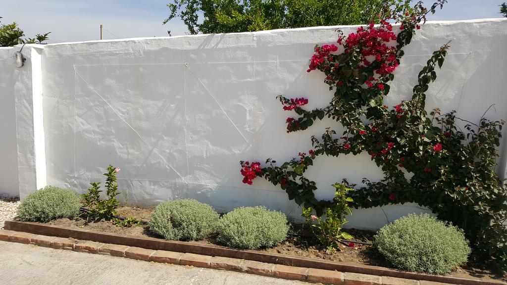 La Posada Del Duende Arcos de la Frontera Εξωτερικό φωτογραφία